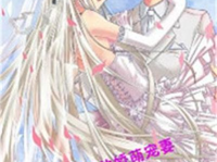 吸血殿下的娇萌宠妻,吸血殿下与娇萌宠妻的甜蜜冒险之旅