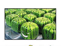 吃瓜网今日吃,揭秘娱乐圈最新热点事件