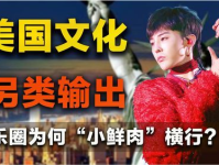 美国娱乐圈综艺,美国娱乐圈综艺全解析