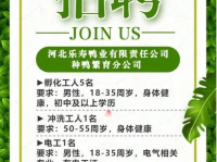 招聘启事范文简短,诚邀精英加入我们共创未来